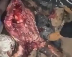 Cannibalistic practices in Congo
