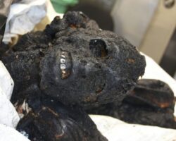 Charred bodies of Israelis from Hamas attack in October 2023