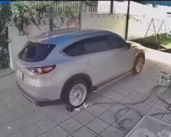 Child acidentally run over by inattentive driver