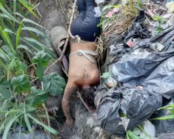 Dead woman found dumped next to road