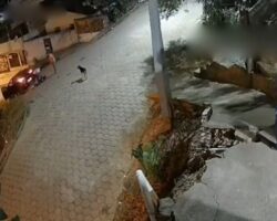 Drunk man run over and killed by car