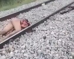 Elderly man torn apart by train