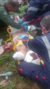 Elderly woman torn apart by pack of pit bulls