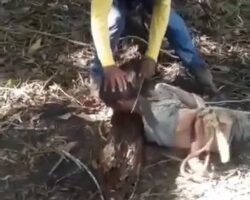 Execution of Myanmar man in the middle of jungle