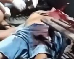 Fatally stabbed during fight