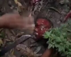Gangsters executed their rival in forest