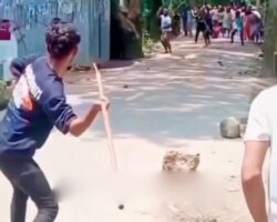 Hit in eye by improvised spear