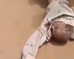 Humanitarian worker murdered by militants in West Darfur