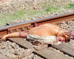 Indian man destroyed by train