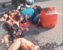 Indonesian woman crushed to death by truck