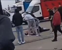 Knocked out by horse
