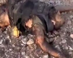 Lebanese video journalist killed by Israeli tank