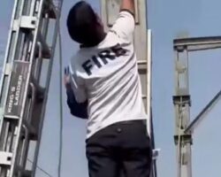 Man climbs up pole and gets electrocuted