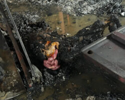Massive fire at industrial building left five people dead
