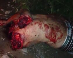 Mutilated human remains found in bushes