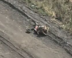 Russian soldier attempts to take out drone using empty RPG tube