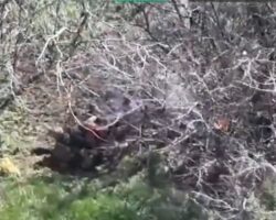 Russian soldier blown apart by drone strike #2