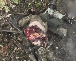 Russian soldier blown apart by drone strike #3