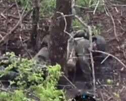 Russian soldier commits suicide on battlefield #3