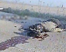 Russian soldier eliminated by FPV drone