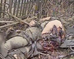 Russian soldier eliminated by kamikaze drone