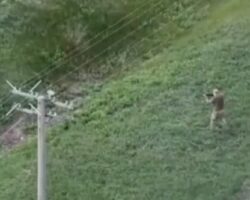 Russian soldier mistakes Ukrainian for fellow soldier, gets shot dead