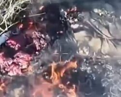 Russian soldier torn to pieces in front of his fellow soldier