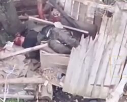 Russian soldier tried to hide from drone in outhouse