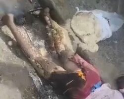 Several people died after high-voltage power line collapsed