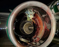 Sucked into aircraft engine at Denver International Airport