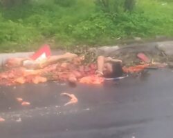 Truck turned him into pile of minced meat