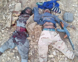 Two African armed fighters killed by Russian military
