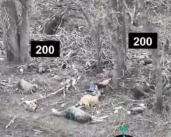 Ukrainian forces wiped out entire Russian platoon