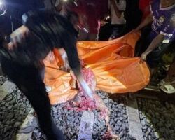Unidentified woman committed suicide by train