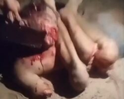 Violently killed and dismembered by criminal gang in Brazil