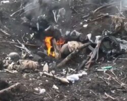War clips from Adam group