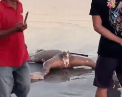 Washed-up corpse of man was discovered on beach