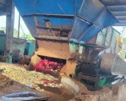 Worker pulled into latex grinding machine