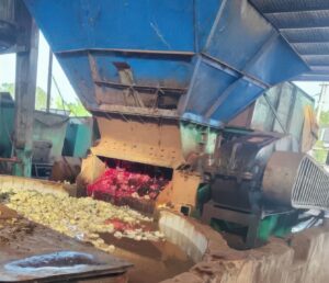 Worker pulled into latex grinding machine