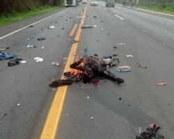 Aftermath of motorcyclist’s collision with truck