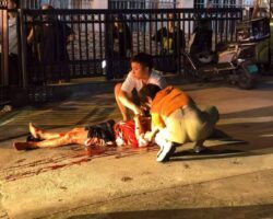 Chinese man fatally stabbed during street fight