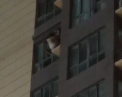 Chinese woman jumps from window in front of her boyfriend