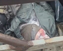 Dead bodies of Russian soldiers loaded onto bed of pickup truck