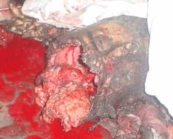 Death of Sheikh Ahmed Ismail Yassin, leader of Hamas militants