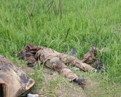 Drone tore off Ukrainian soldier’s head and ripped open his rib cage