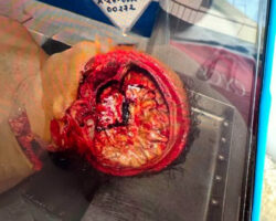 Elderly man commits suicide with butcher’s band saw
