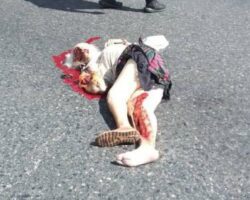 Elderly woman fatally run over by garbage truck