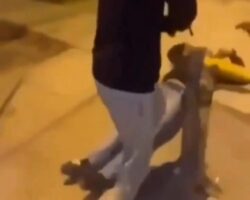 Executed with 33 shots by members of violent criminal organization