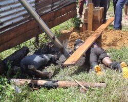 Father and son died from high-voltage electric shock