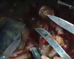 Gangsters completely butchered their rival